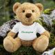 Teddy bear with personalised name t-shirt